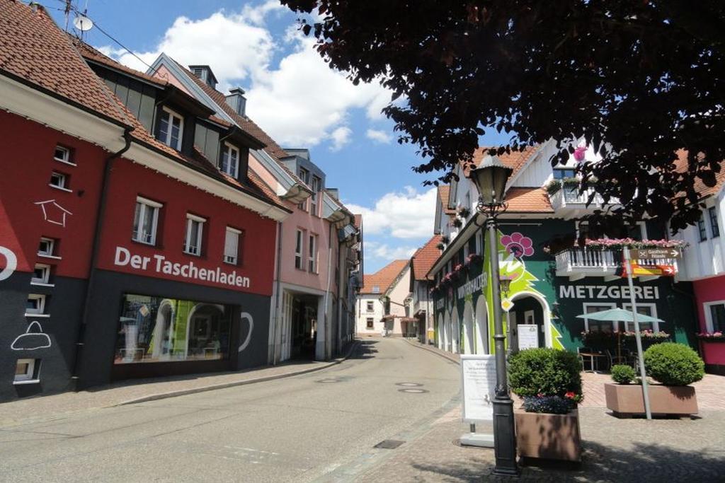 Sonnenterrasse Apartment Elzach Exterior photo